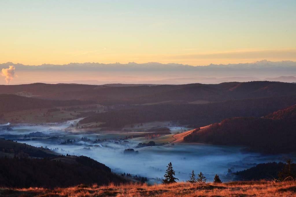 Echtes Schwarzwaldhaus - Traditionell & Modern Bernau im Schwarzwald Luaran gambar
