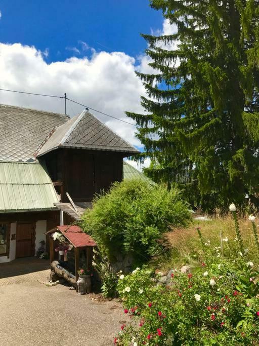 Echtes Schwarzwaldhaus - Traditionell & Modern Bernau im Schwarzwald Luaran gambar
