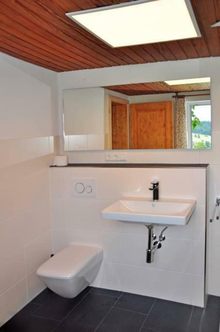 Echtes Schwarzwaldhaus - Traditionell & Modern Bernau im Schwarzwald Luaran gambar